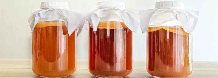 Kombucha Tüketirken Nelere Dikkat Edilmelidir?