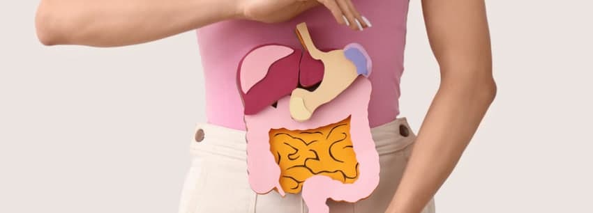 Bağırsak Gazına Ne İyi Gelir?